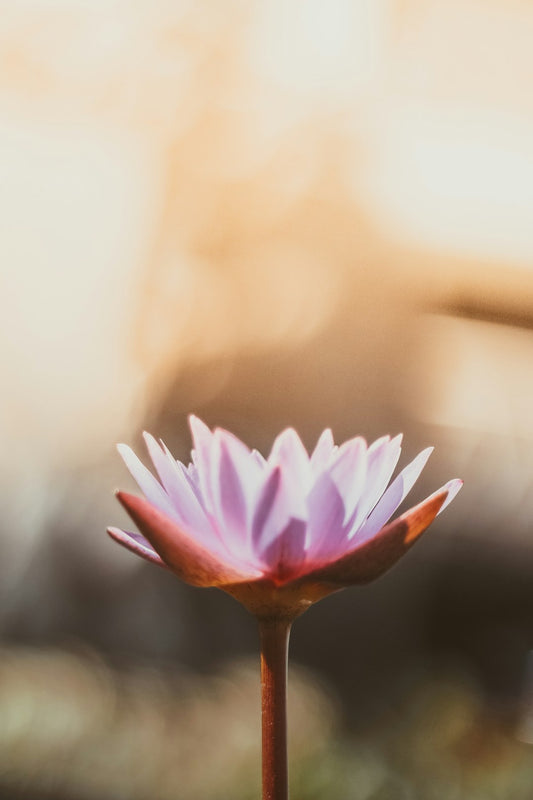 Unlocking the Power Within: Exploring the Connection Between Yoga and Spirituality