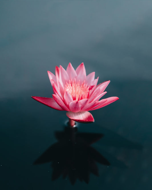 Achieving Inner Peace: Tips for Cultivating a Calm Mind