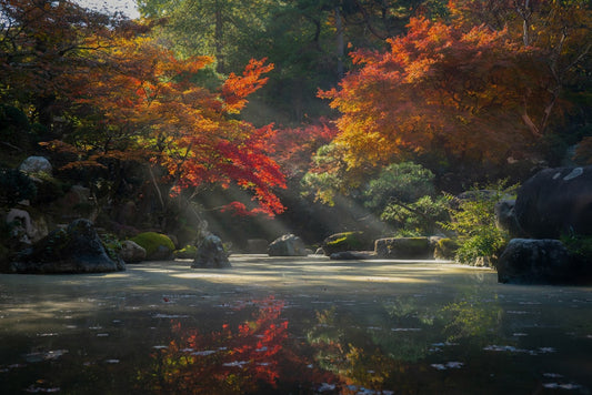 Designing Your Zen: How to Create a Serene Meditation Space at Home